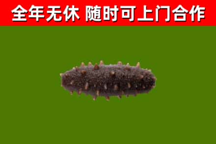 城子河区烟酒回收干海参.jpg